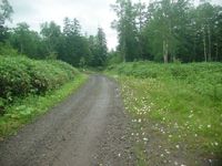 DSC00409.jpg