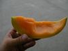 SANY0106.jpg