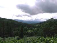 SANY0158.jpg